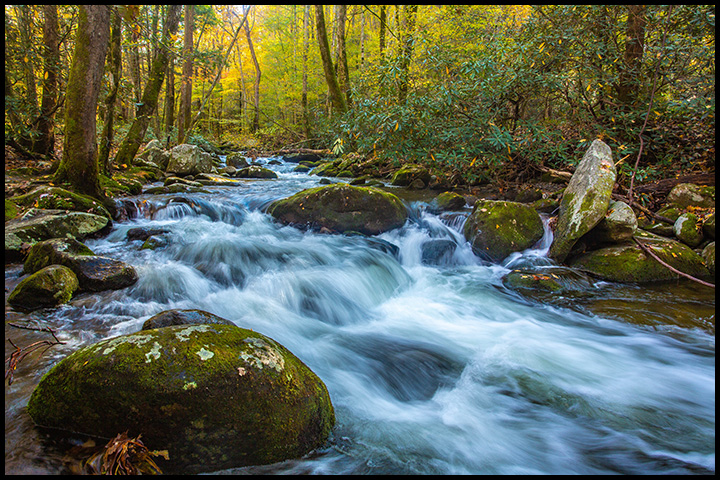 A river flows through Smoky Mountains National Park